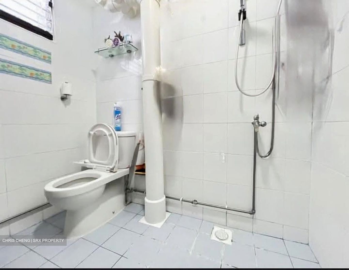 Blk 356 Clementi Avenue 2 (Clementi), HDB 5 Rooms #635666581